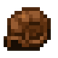 Snail Shell