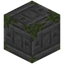 Sad Mossy Stone Bricks