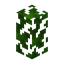 Jungle Hedge