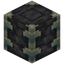 Reinforced Deepslate