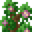 Flowering Shrub