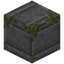 Cut Blank Mossy Stone Bricks