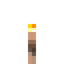 Brown Mushroom Torch