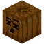 Suspicious Carved Pumpkin