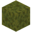 Wet Sponge