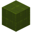 Stringed Green Wool