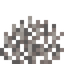 Dead Fire Coral Fan