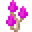 Magenta Shimmering Mushroom