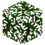 Pine Leaves