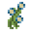 Flax