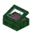 Pink Green Enchanted Display Case