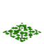 Acacia Leaf Carpet