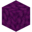 Bubble Coral Block