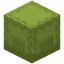 Conifer Shulker Box