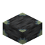 Reinforced Deepslate Slab