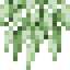 Spanish Moss