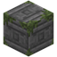 Duh Mossy Stone Bricks