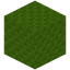 Ribbled Lime Wool