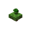 Floating Lime Flower