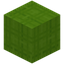 Stringed Lime Wool
