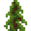 Redwood Shrub
