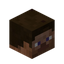 Player Head