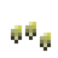 Corn Seeds