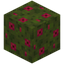 Red Moss Block