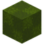 Patched Green Wool