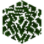 Oak Leaves