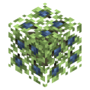 Berry Bush