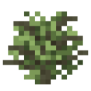 Bush Stem