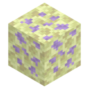 End Node
