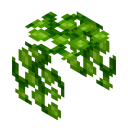 Algae