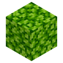 Algae Block