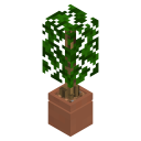 Ceramic Pot
