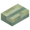 Echo Button
