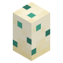 Turtle Egg