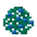 Blueberry Bush