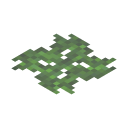 Algae