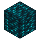 Echo Block