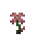 Aegiflora
