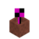 Flower Pot