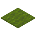 Green Carpet