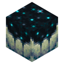 Sculk Catalyst