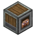 Player Interface