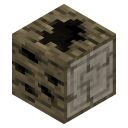 Rotten Log Anthill