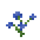 Blue Orchid