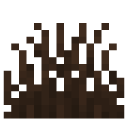 Brown Grass