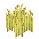 Barley Crop